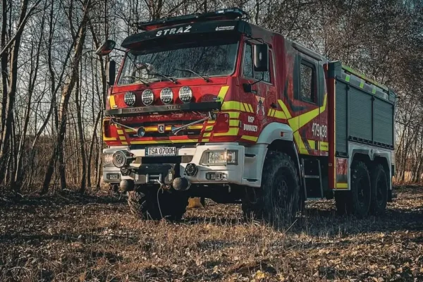 OSP Dwikozy usuwa nadłamany konar w Parku Zieleniec
