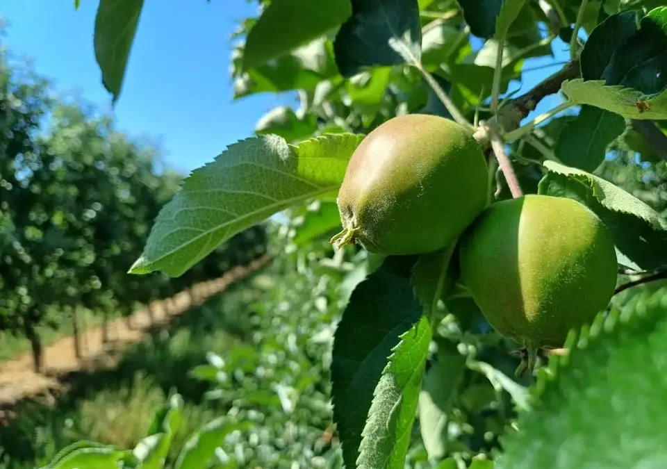 Młodzieżowa Drużyna Pożarnicza w Świątnikach otrzymała dofinansowanie na nowy sprzęt