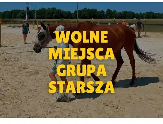 Trwają zapisy do II tury warsztatów „Z natury mocni” w gminie Długołęka