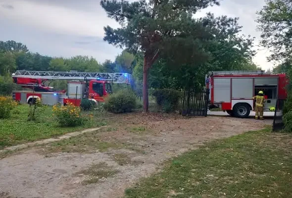Wichura w Bożęcinie: drzewo runęło na dom, interweniowali strażacy z OSP Wilczyce i PSP Sandomierz