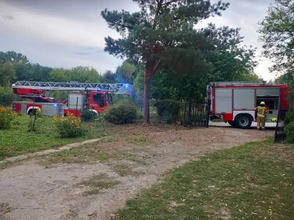 Wichura w Bożęcinie: drzewo runęło na dom, interweniowali strażacy z OSP Wilczyce i PSP Sandomierz
