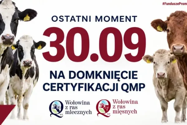 Certyfikat QMP – ostatnie dni na jego uzyskanie