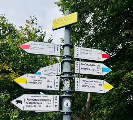 Uczniowie klas szóstych ze szkoły w Wilczycach zdobyli Ślężę