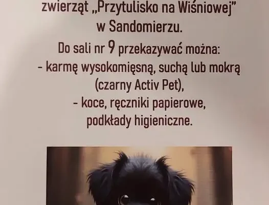 Zbiórka dla schroniska „Przytulisko na Wiśniowej” w Sandomierzu