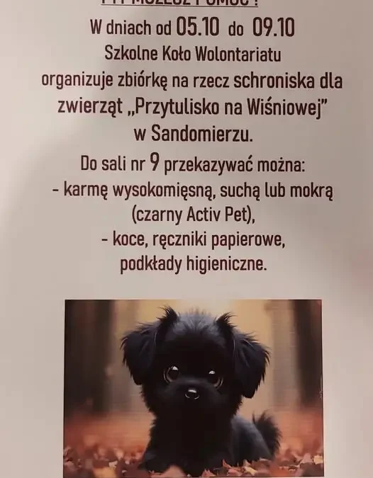 Zbiórka dla schroniska „Przytulisko na Wiśniowej” w Sandomierzu
