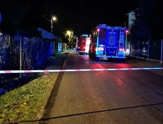 Łoś uwięziony na bramie posesji w Górach Wysokich — interwencja strażaków z OSP Dwikozy